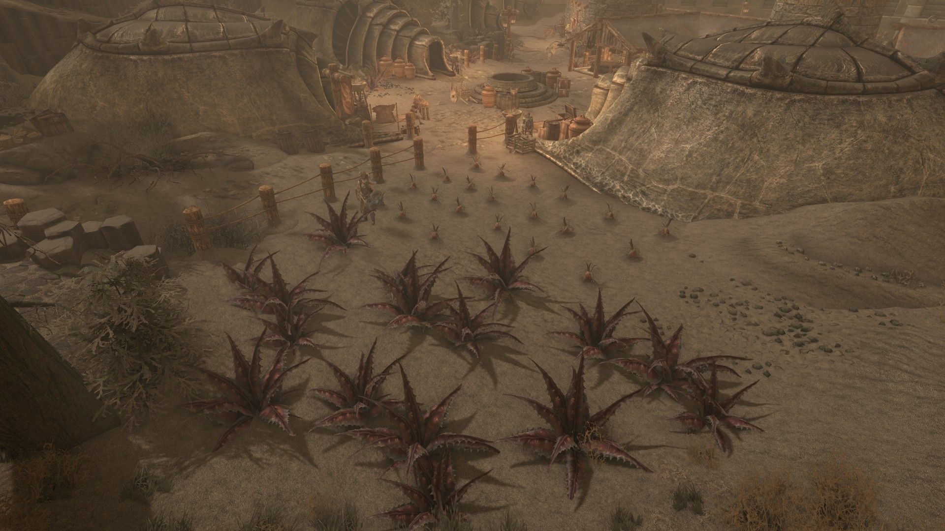 An overhead shot of a field of Scathecraw plants in an ashen field.