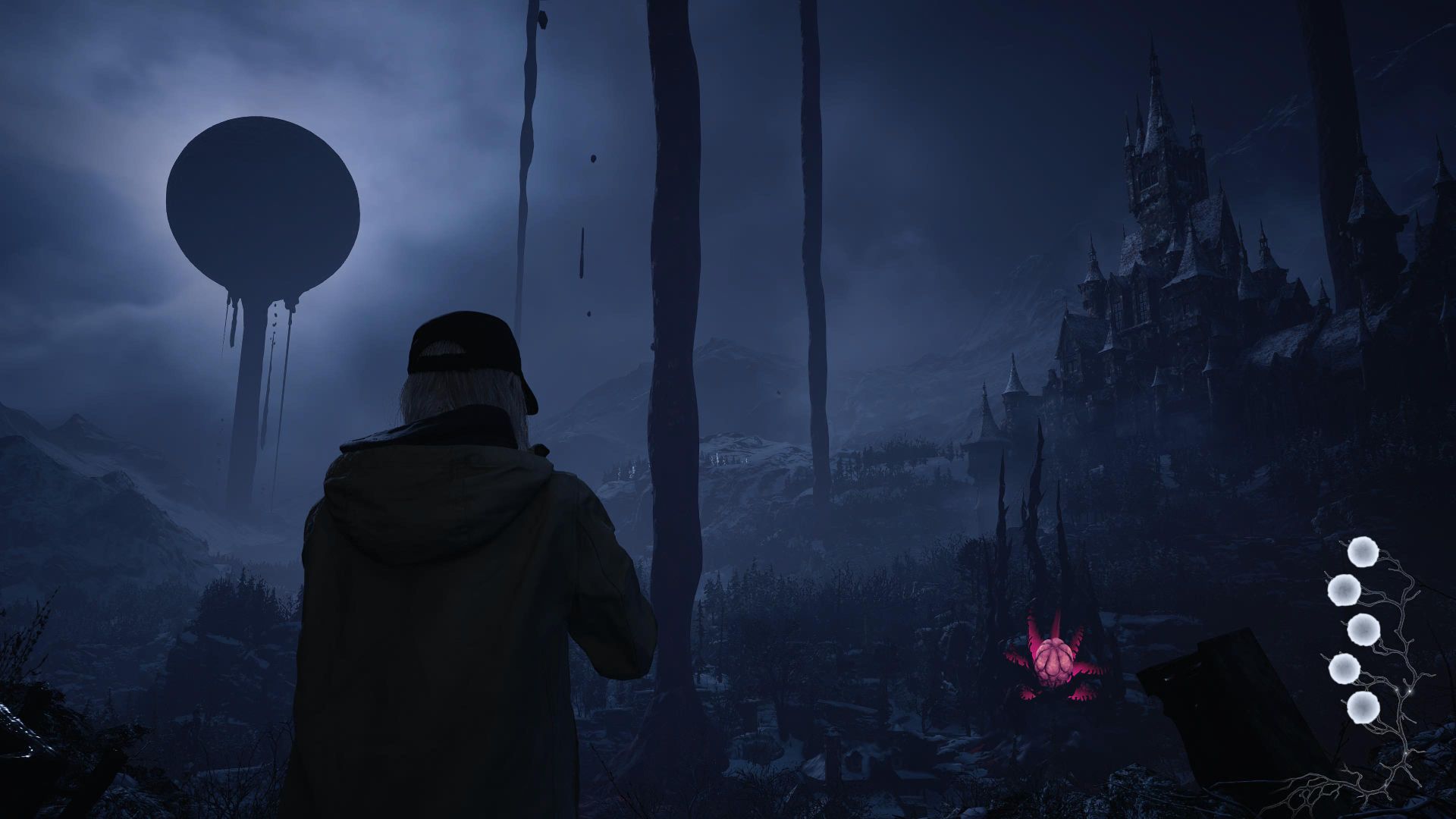 Rose And The Castle In Shadows Of Rose
