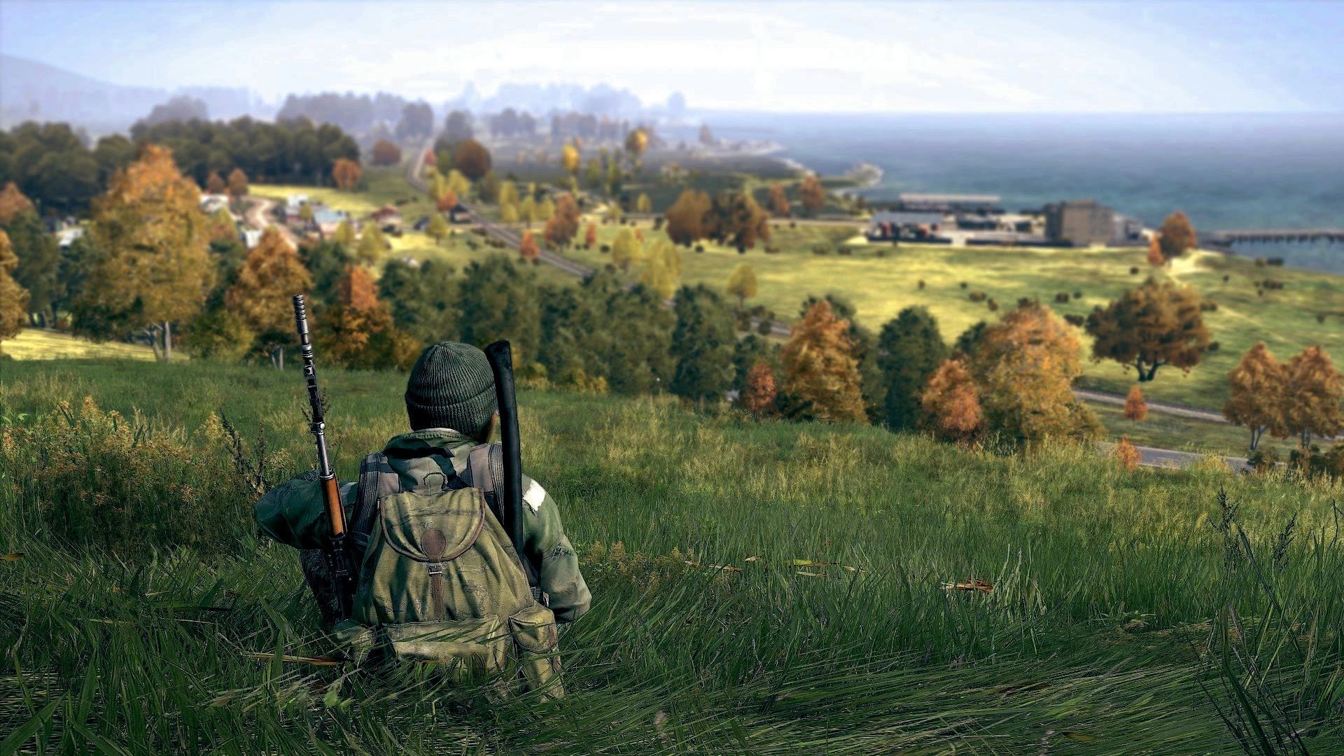 dayz-field