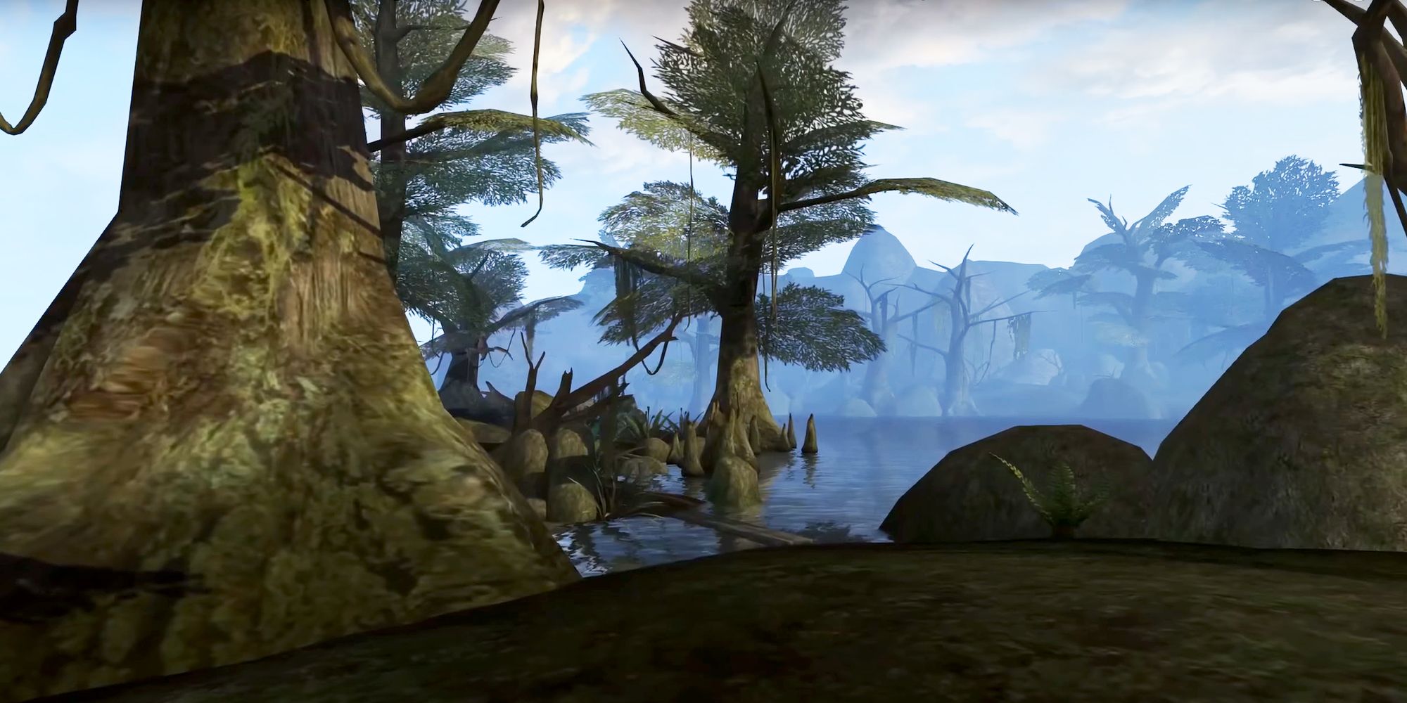 A Swampy landscape in Morrowind