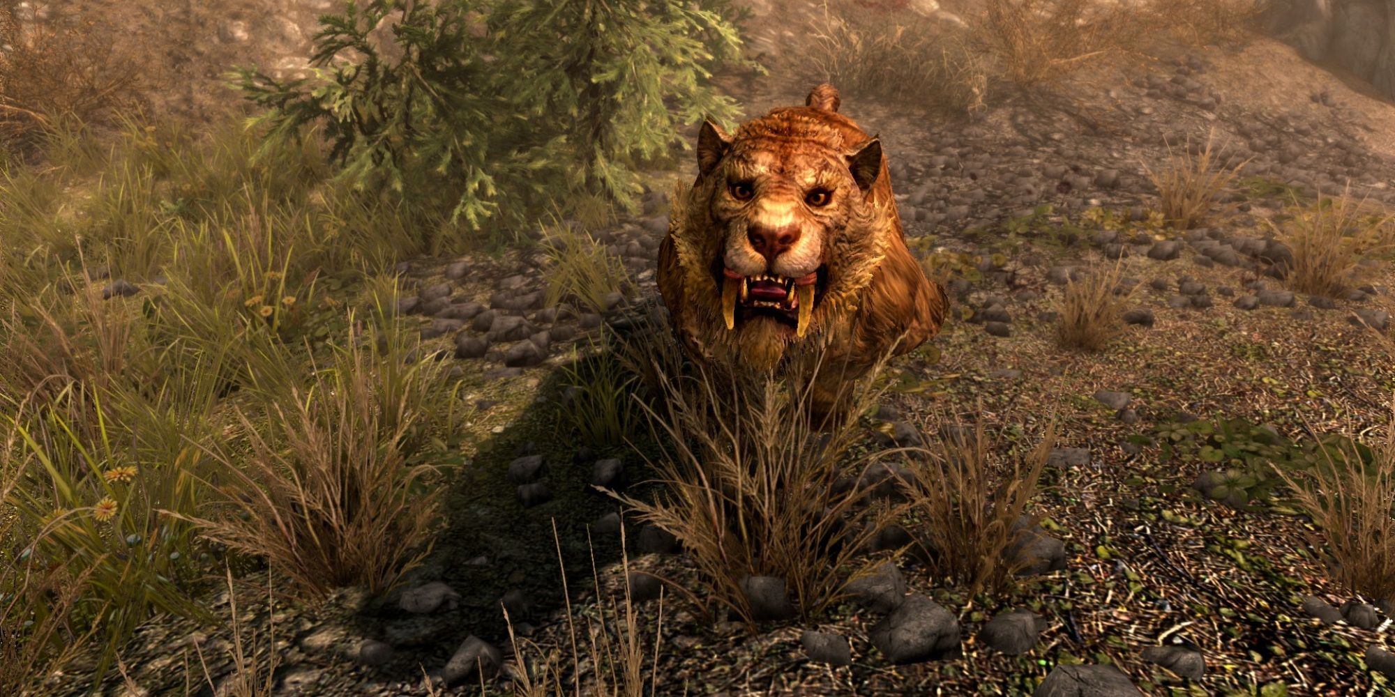 Skyrim screenshot of a sabre cat running towards the player.