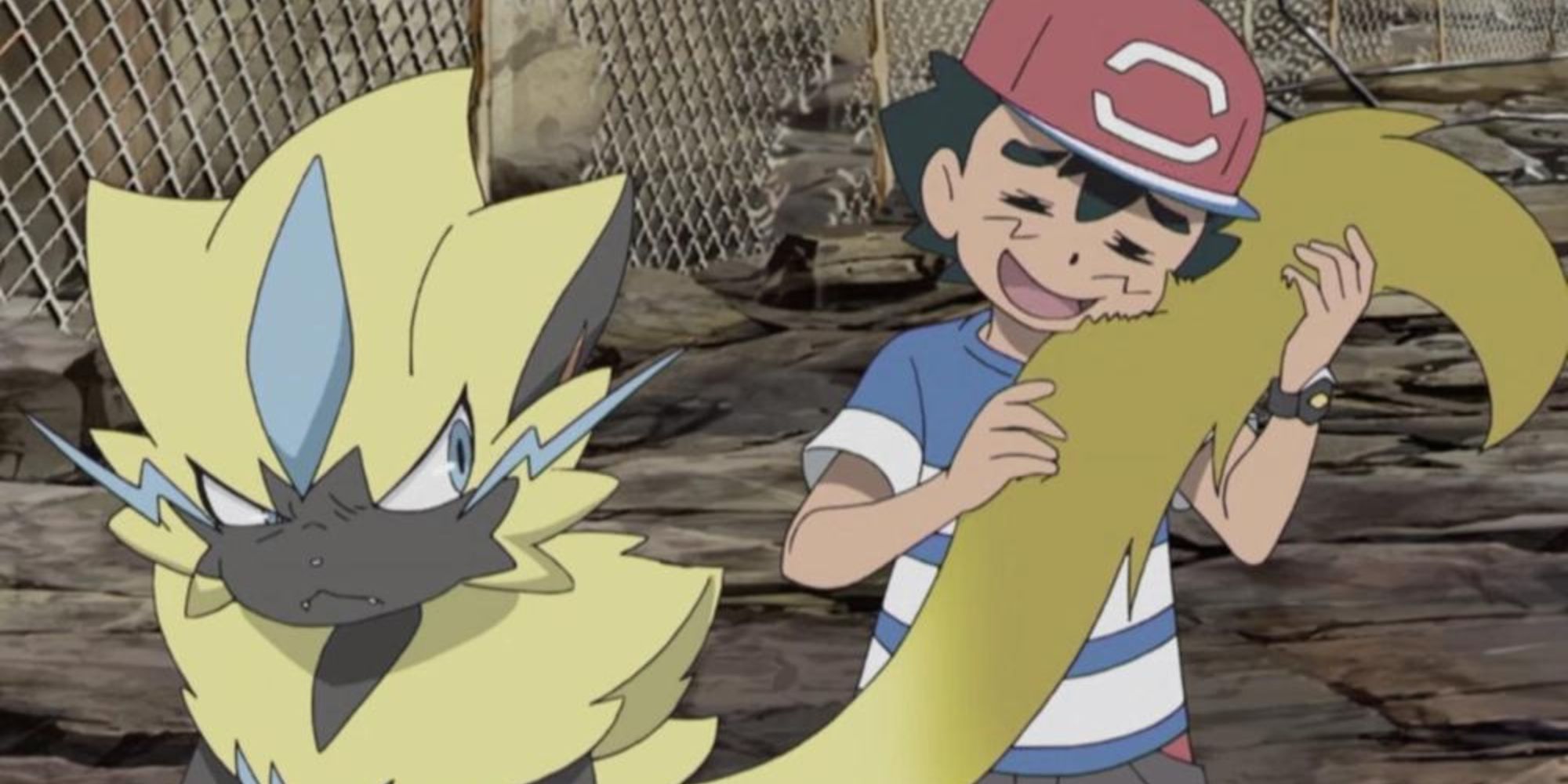 Zeraora looks frustrated as Ash nuzzles its tail