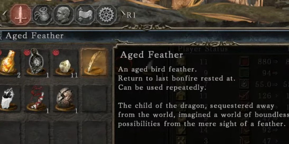 aged feather - DS2 description