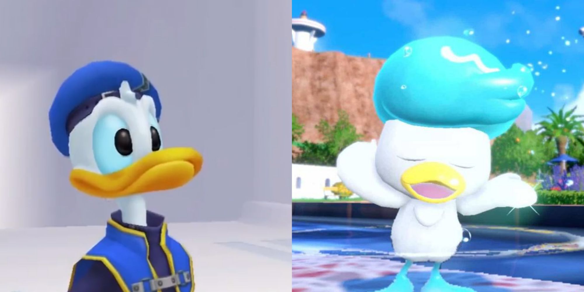 Donald Duck And Quaxly