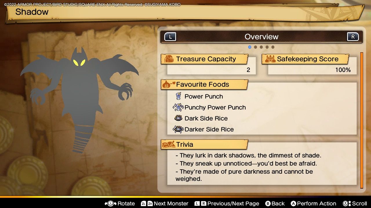 Dragon  Quest Treasures, Shadow Profile