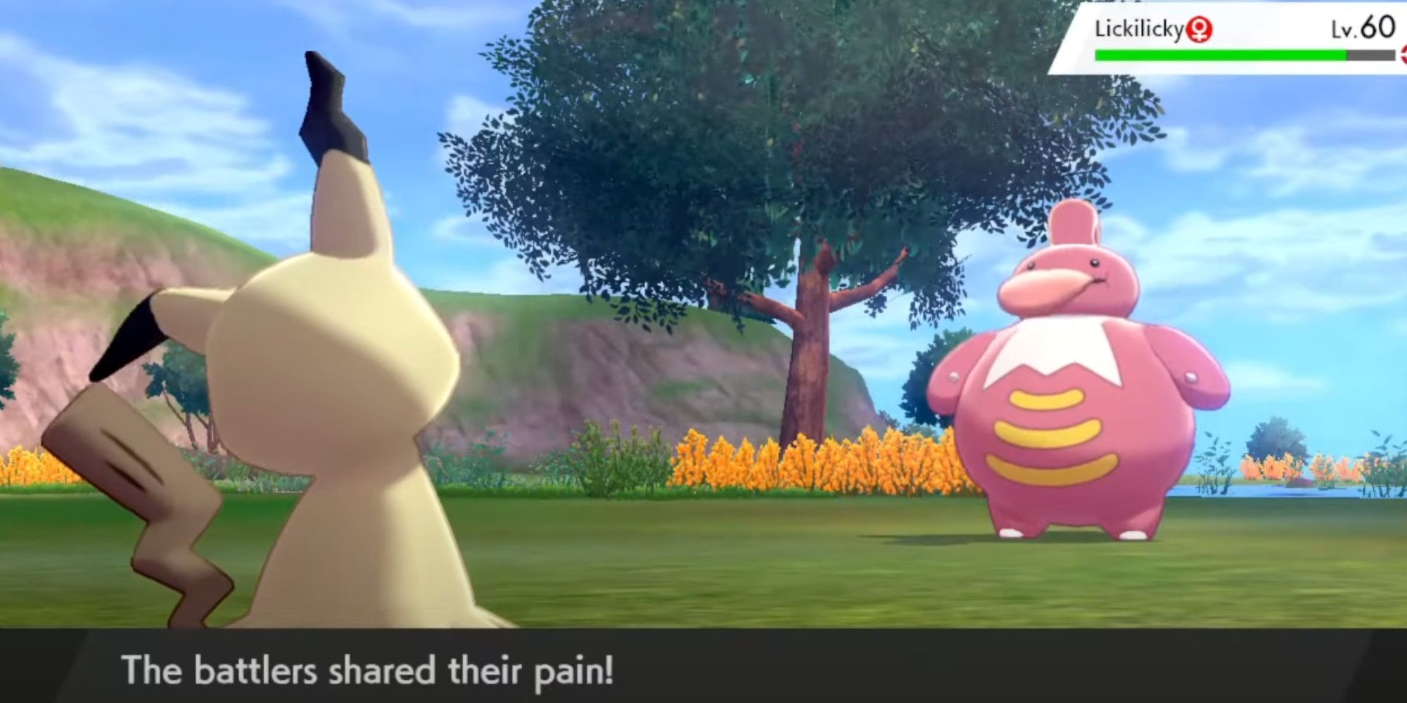 Mimikyu Using Pain Split