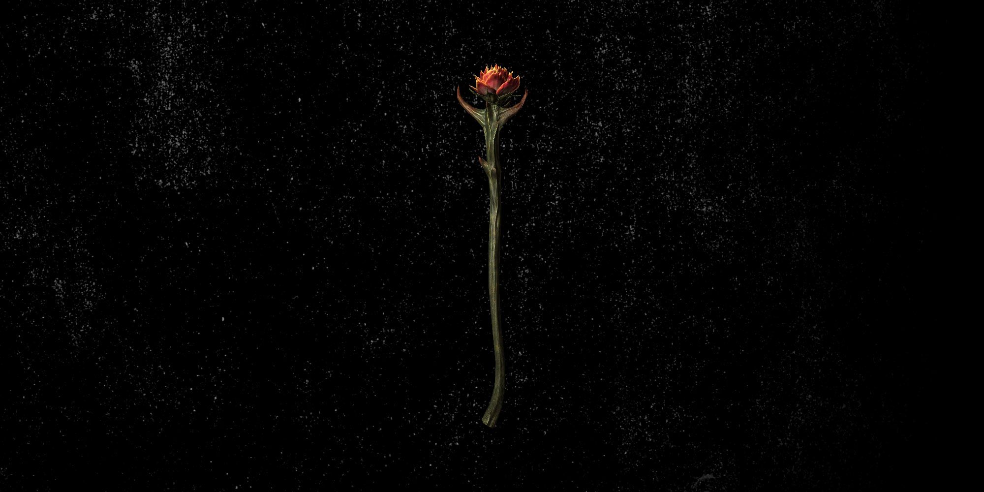 sanguine rose skyrim