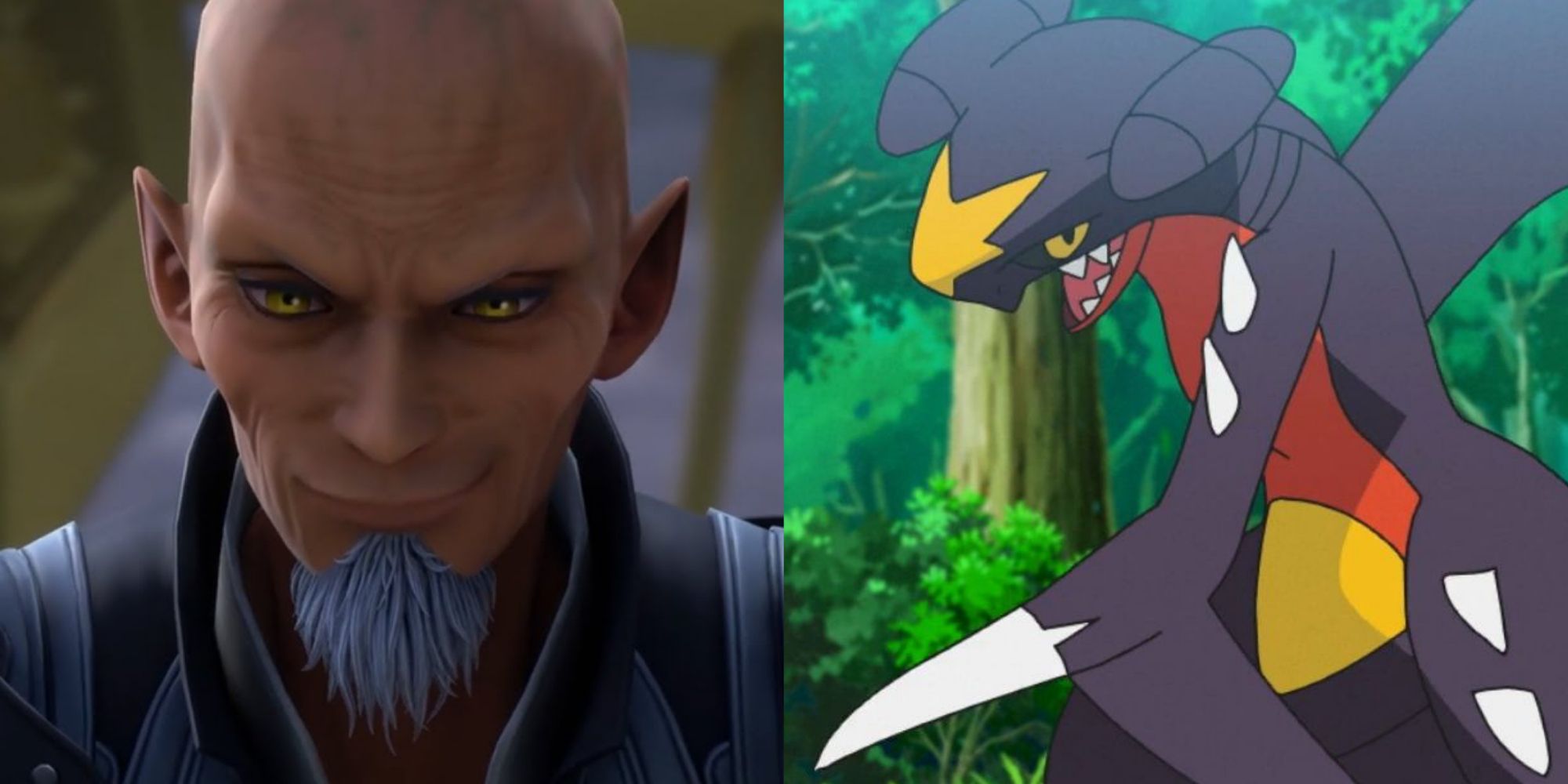 Xehanort And Garchomp