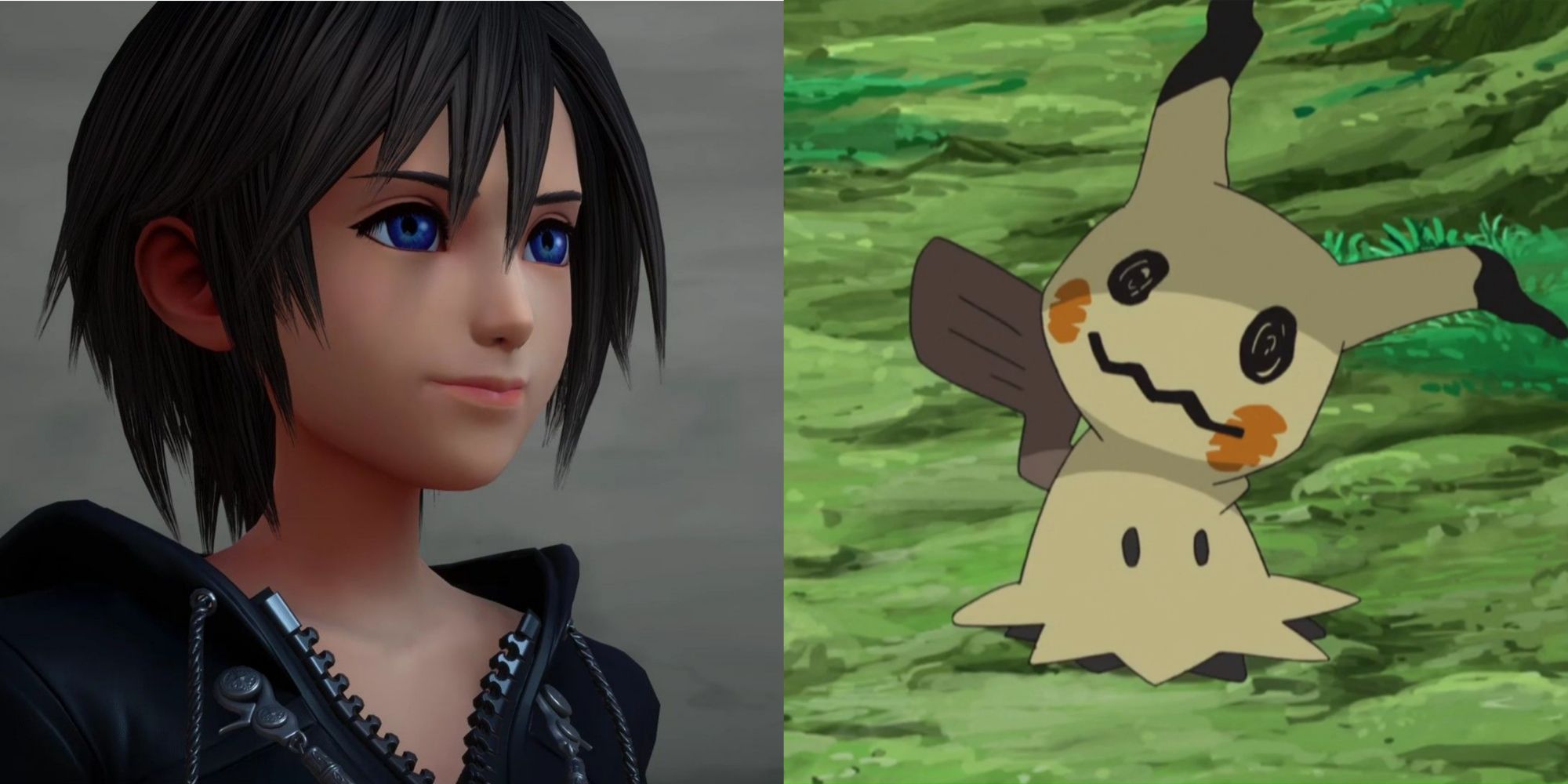 Xion And Mimikyu