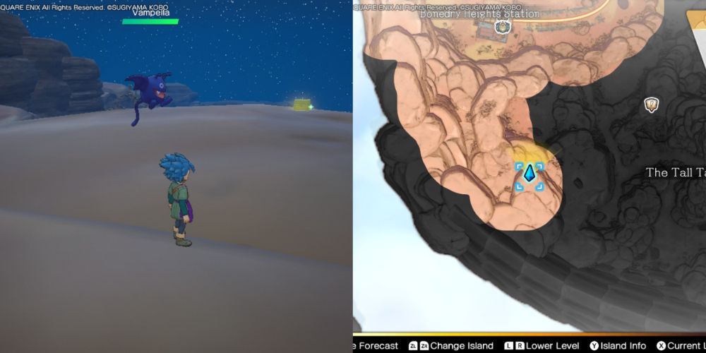 A chest hidden on the Maneland in Dragon Quest Treasures.