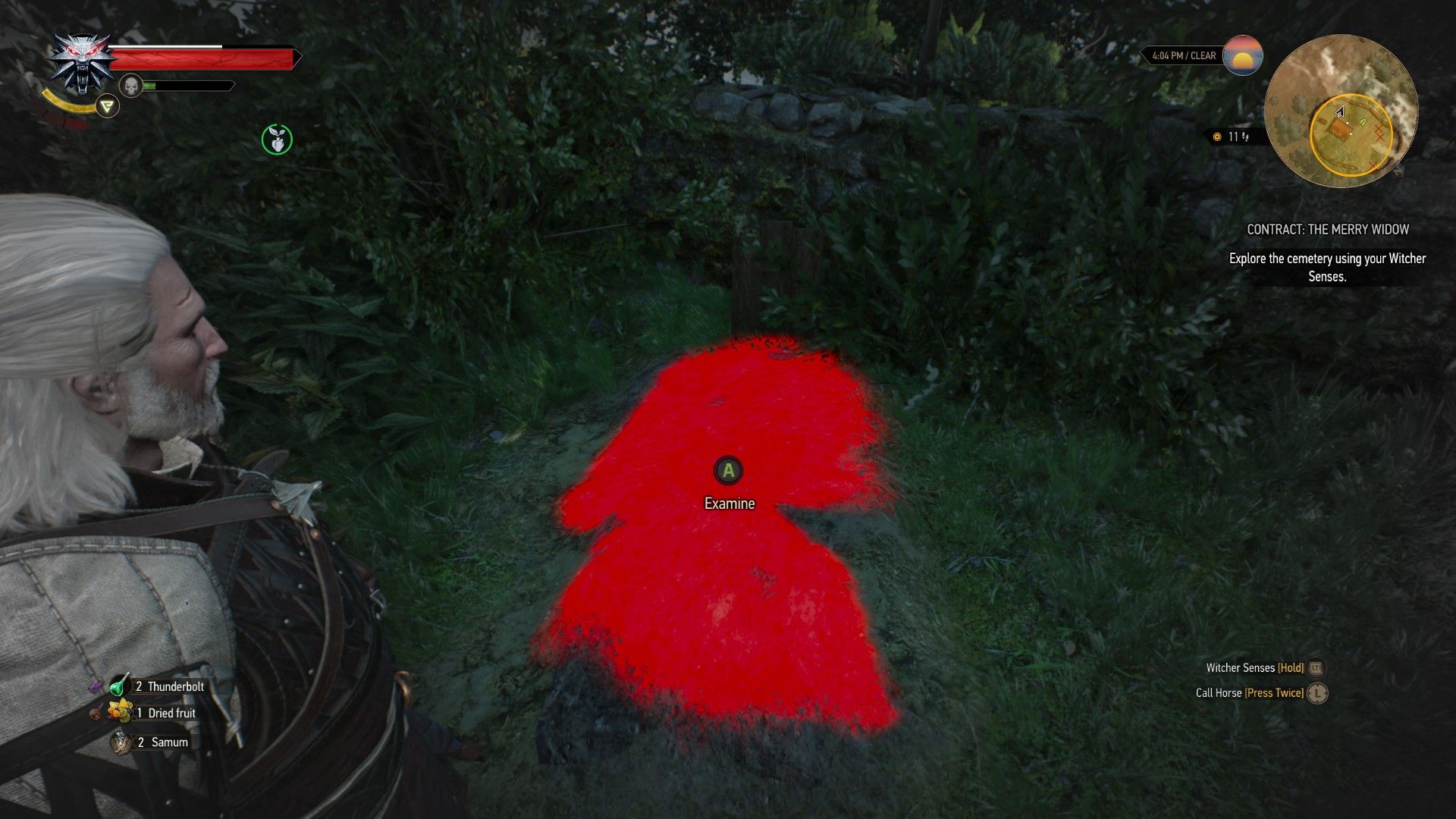 A screenshot of Geralt looking down at a large patch on the ground.