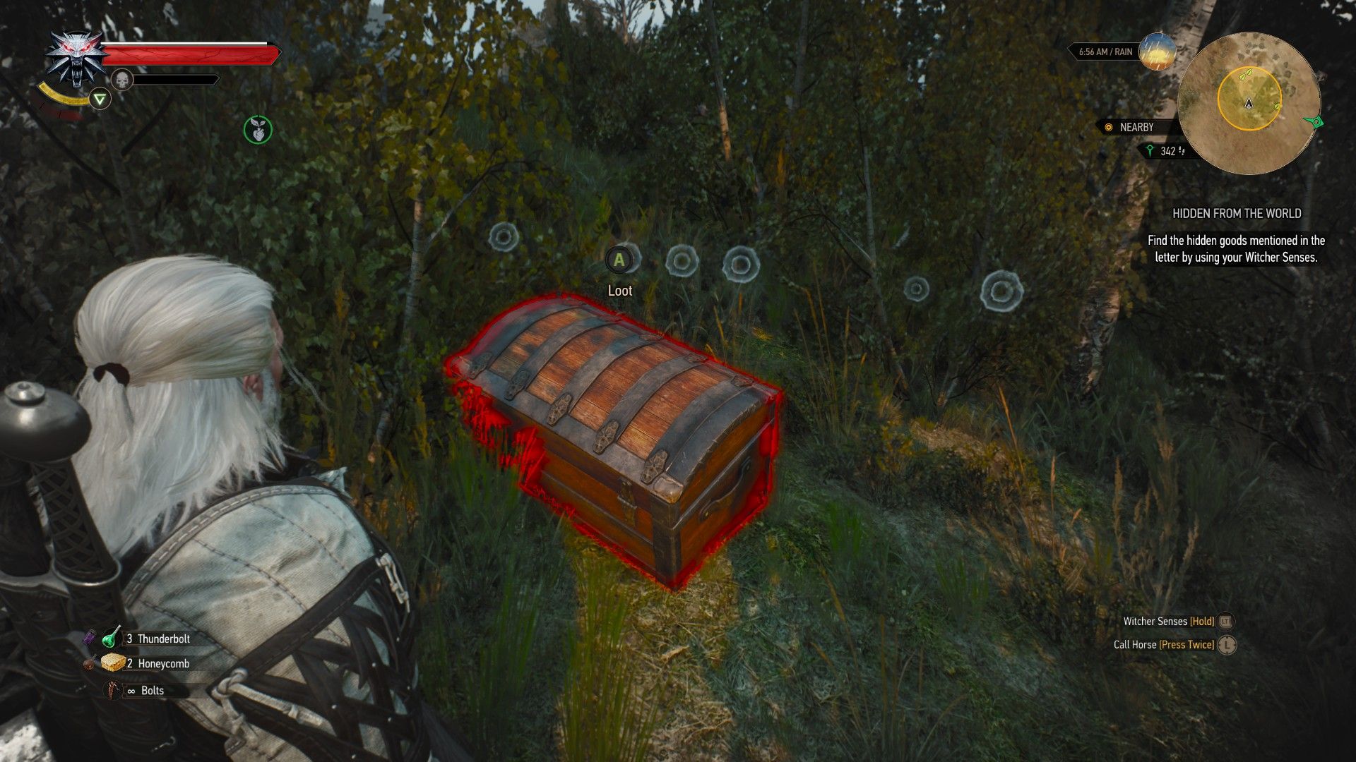 A screenshot of the treasure chest that ends the treasure hunt Hidden from the World in the Witcher 3.