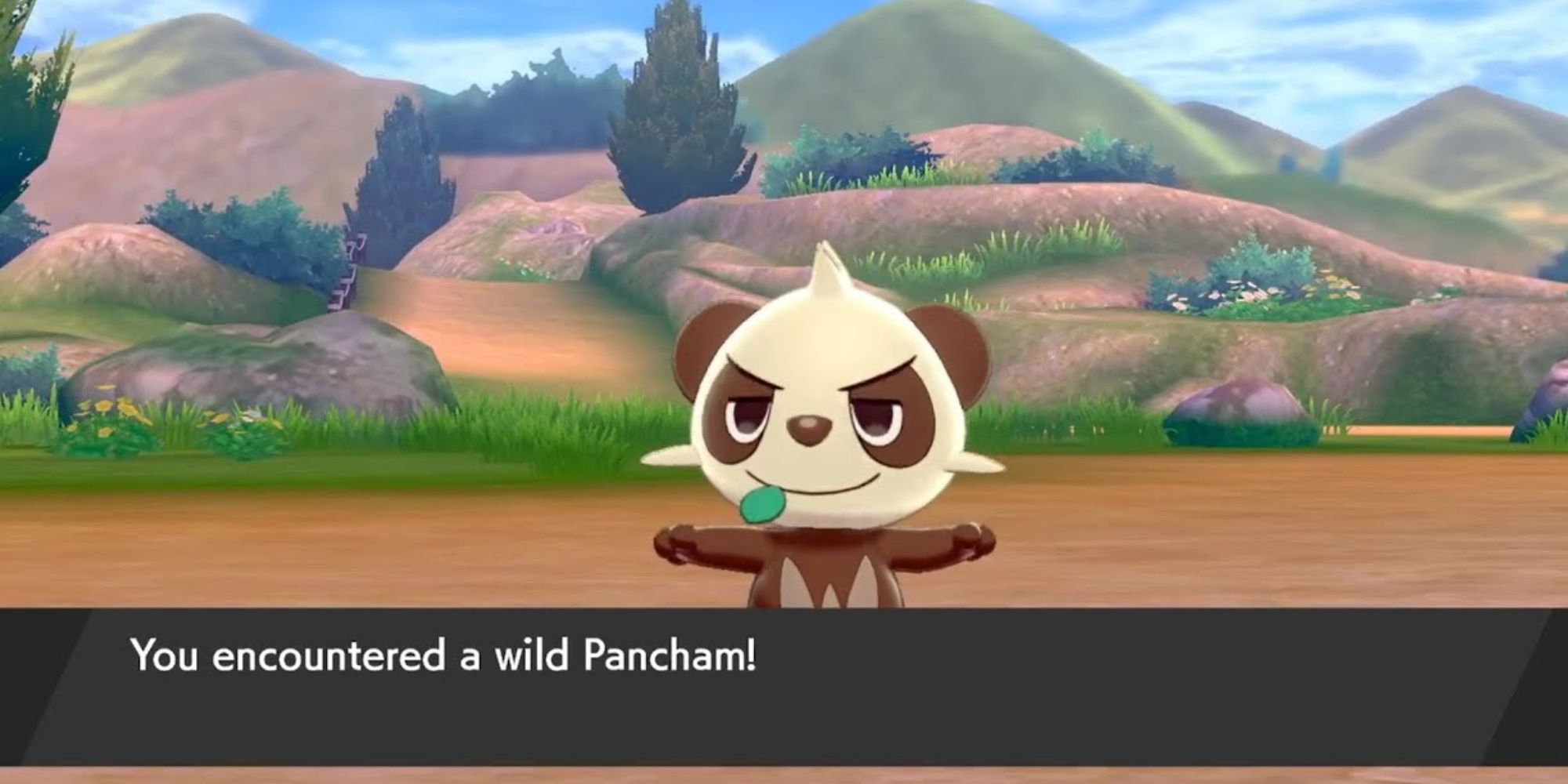 shiny pancham in pokemon
