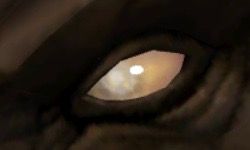 A Blind Amber Eye