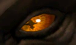 A Crossed Dark Orange Eye