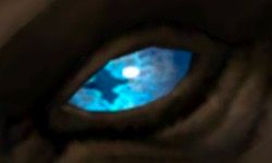 A Crossed Light Blue Eye