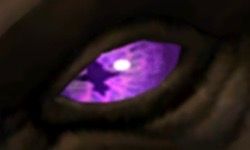 A Crossed Lilac Eye