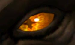 A Crossed Orange Eye