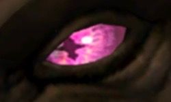 A Crossed Pink Eye
