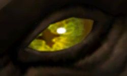A Crossed Yellow Eye