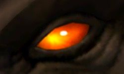 A Glowing Dark Orange Eye