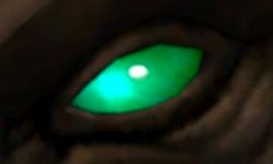 A Glowing Turquoise Eye