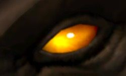 A Glowing Amber Eye