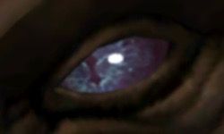 A Slit Black Eye