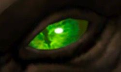 A Slit Green Eye