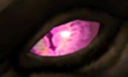 A Slit Pink Eye