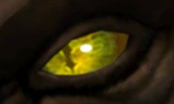 A Slit Yellow Eye