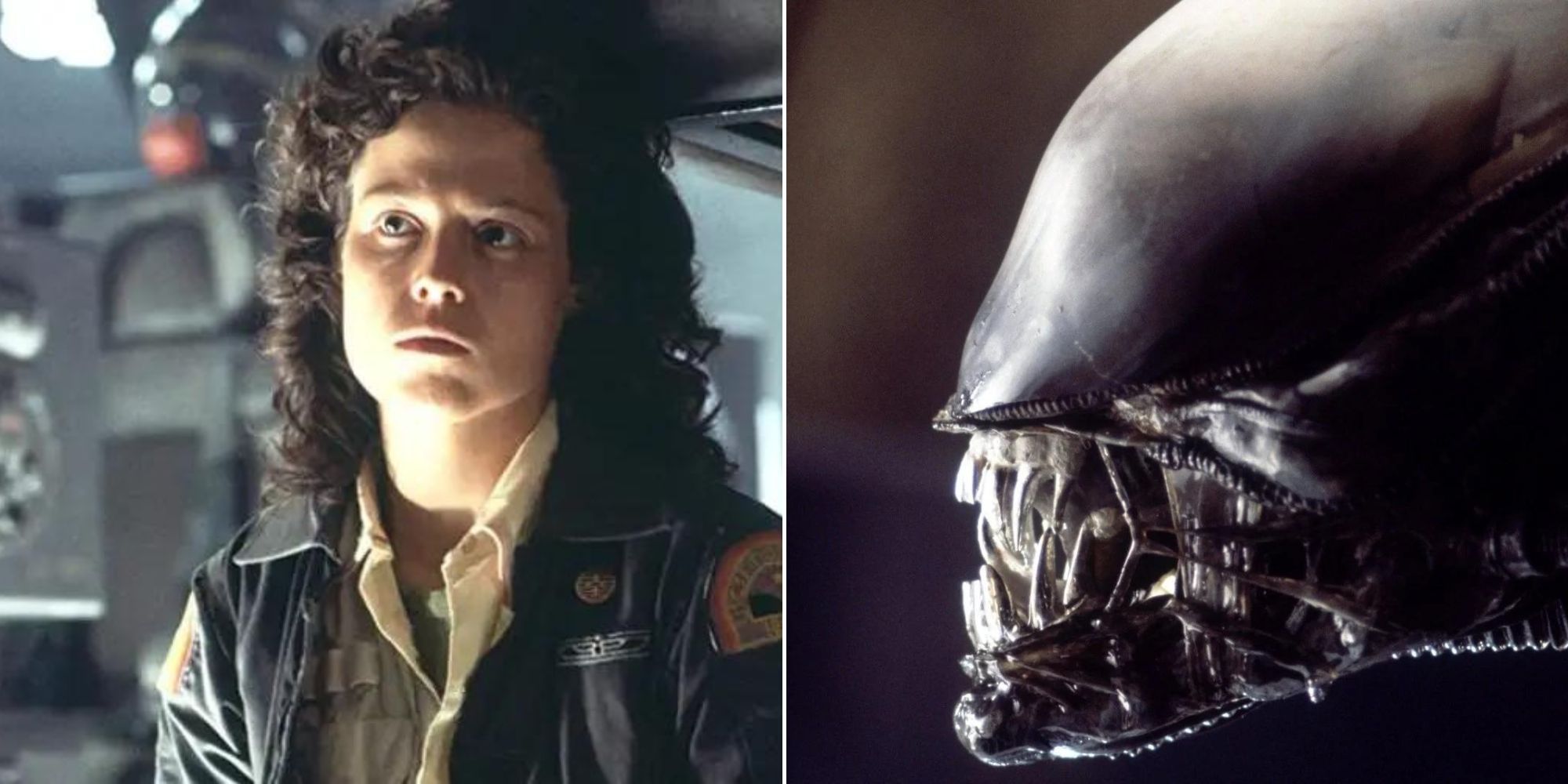 Alien - Ellen Ripley - The Xenomorph