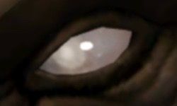 Blind black eye