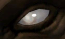 Blind blue eye