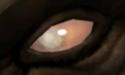 Blind dark orange eye