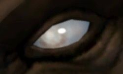 Blind light blue eye