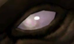 Blind pink eye
