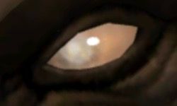 Blind orange eye