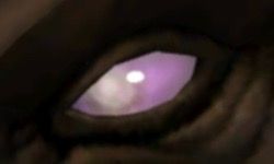 Blind lilac eye