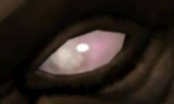 Blind red eye