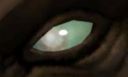 Blind turquoise eye