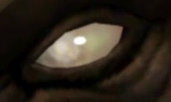 Blind yellow eye