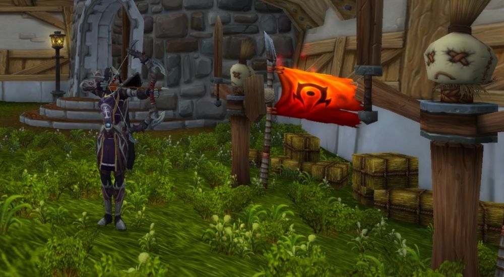 World Of Warcraft Hunter in Combat
