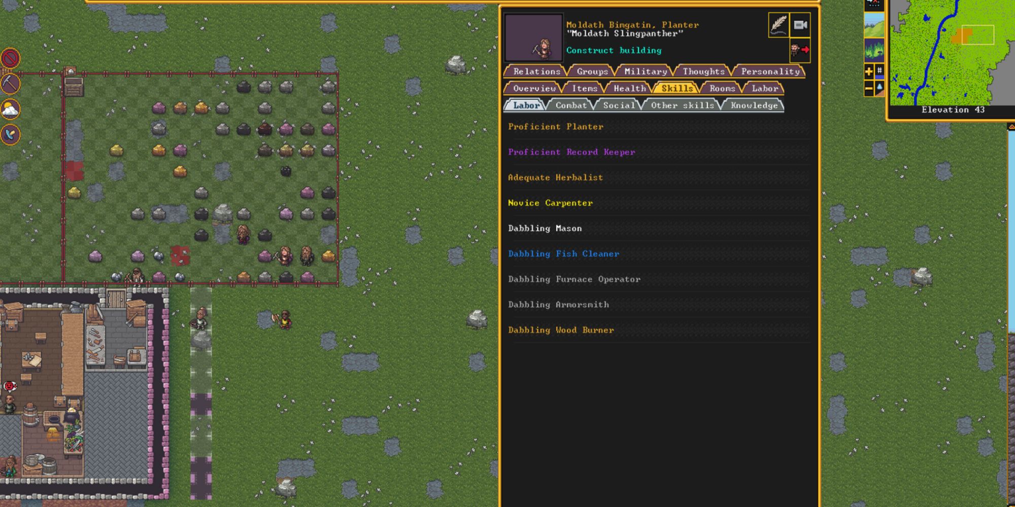 dwarf fortress dwarf skill overview menu, growing