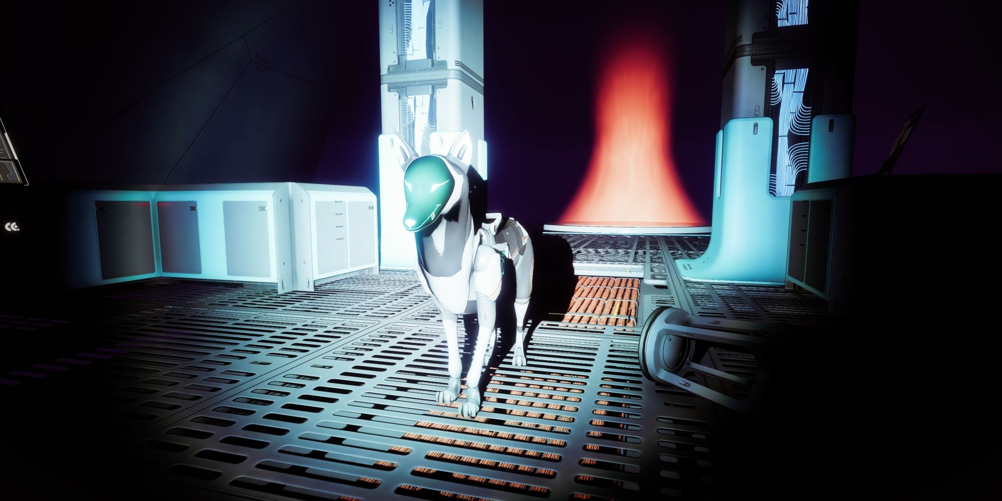 Destiny 2 Braytech Dog in Dimly Lit Room