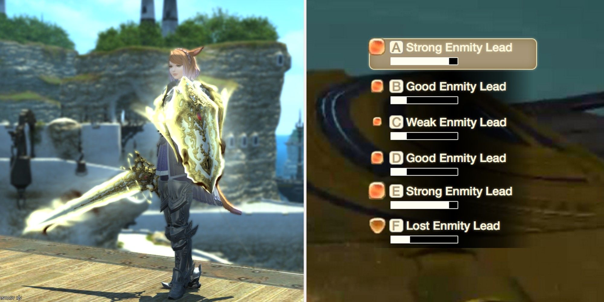 Final Fantasy 14 Tank and a party's enmity stats