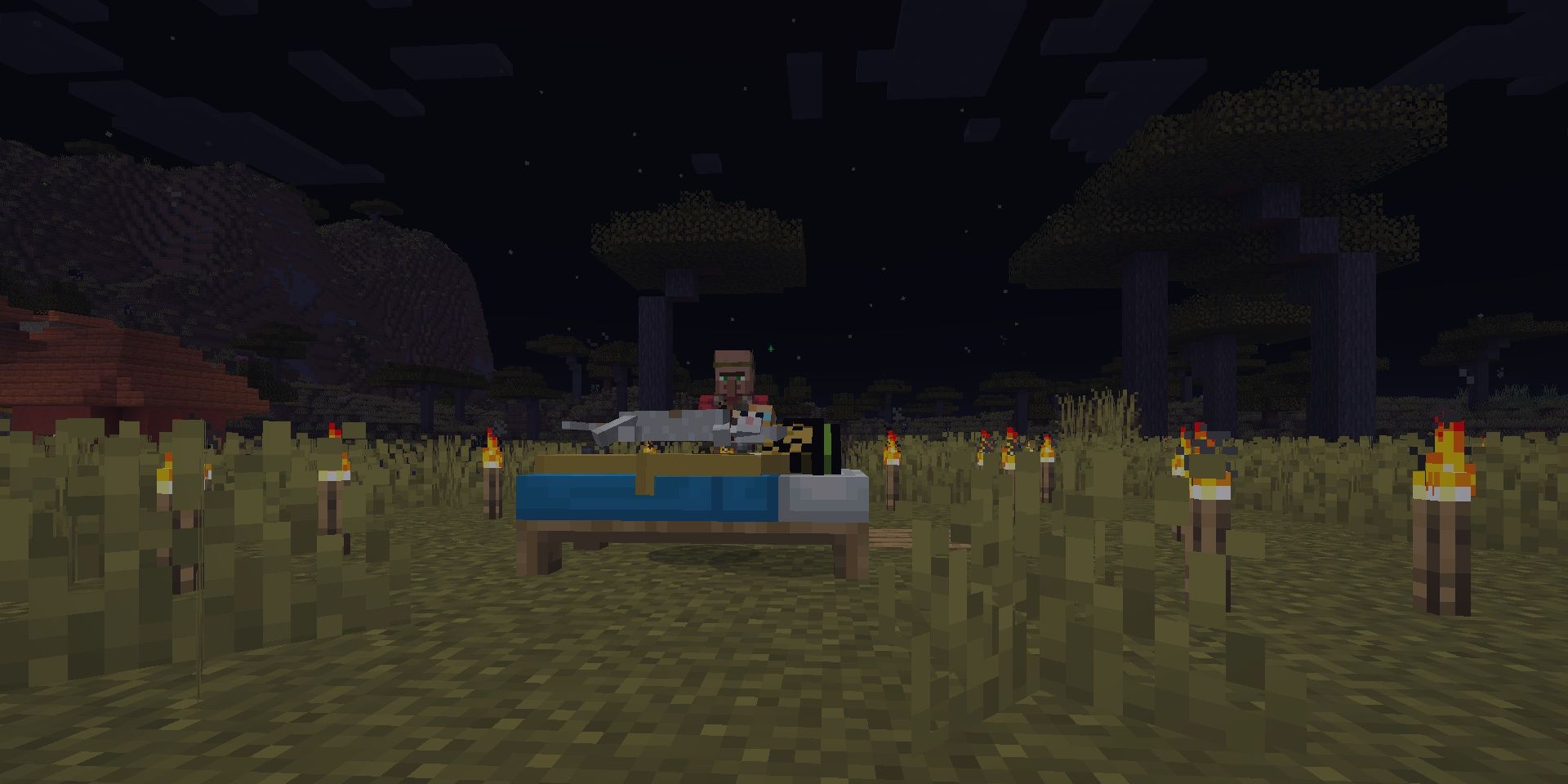 A cat sleeping on a player while they lay in bed while a villager approaches in Minecraft