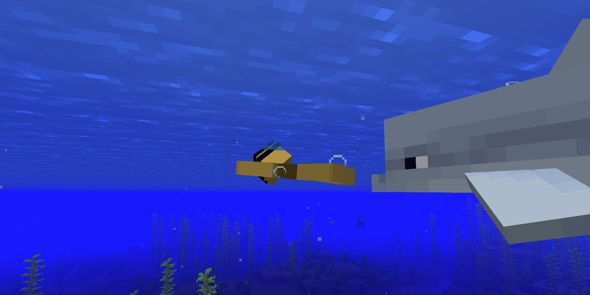 A dolphin swimming behind the player as it gives them a boost in Minecraft