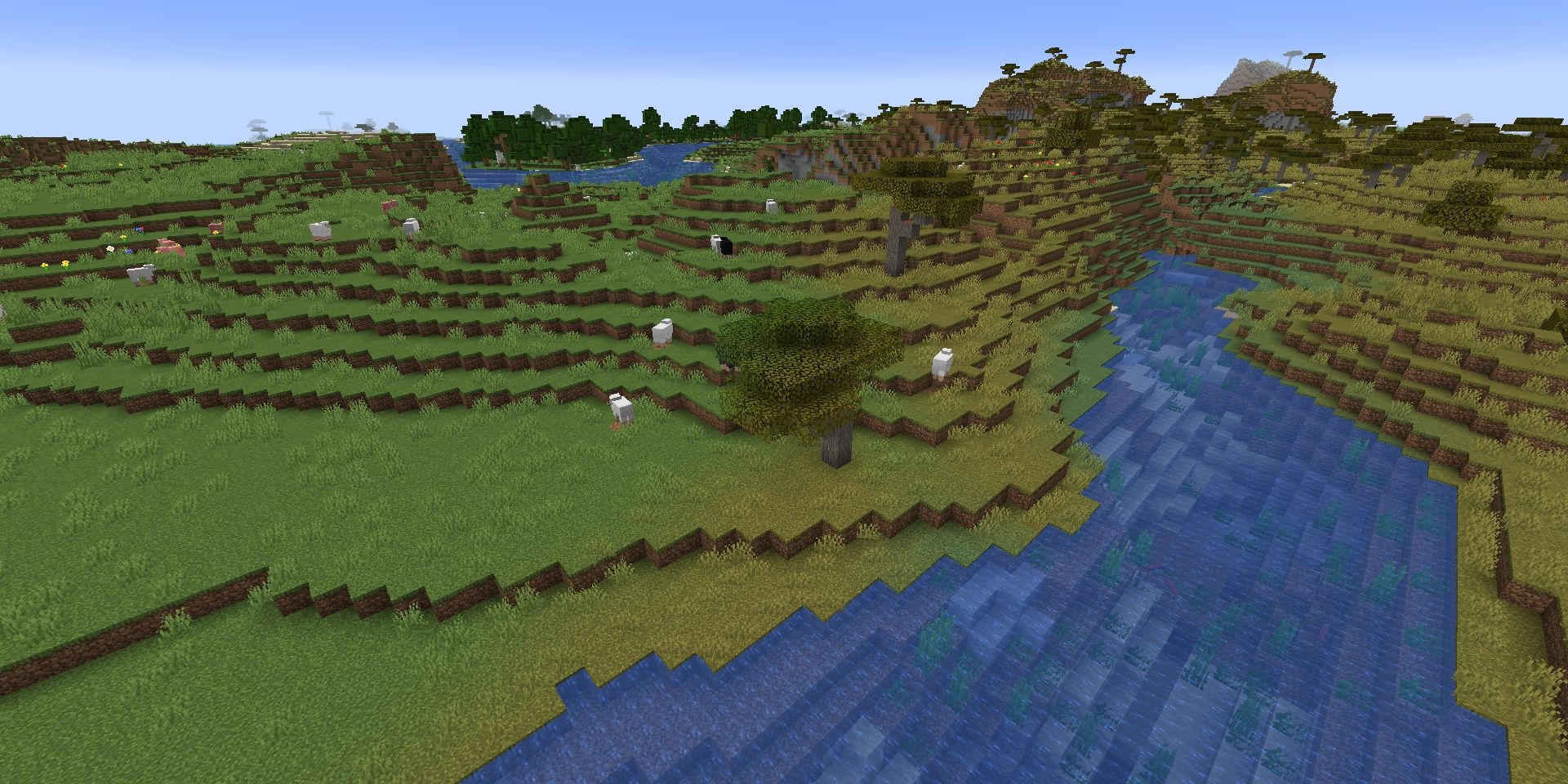 A plains and savanna biome sitting next to each other and their grass changing color in Minecraft