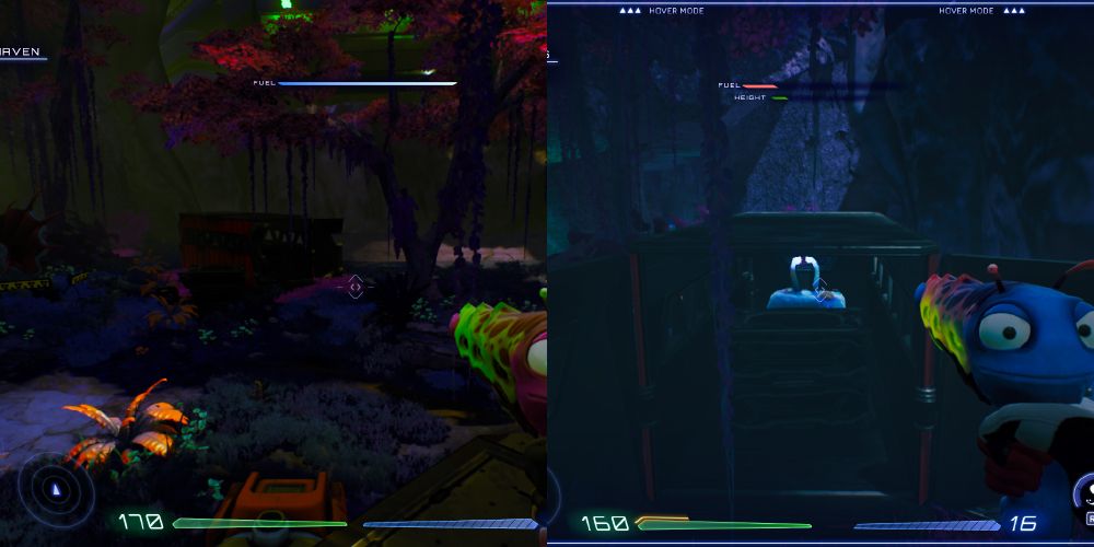 There's a large fly-trap to the left of a used container. The container is under a tree and has a Luglox inside it.